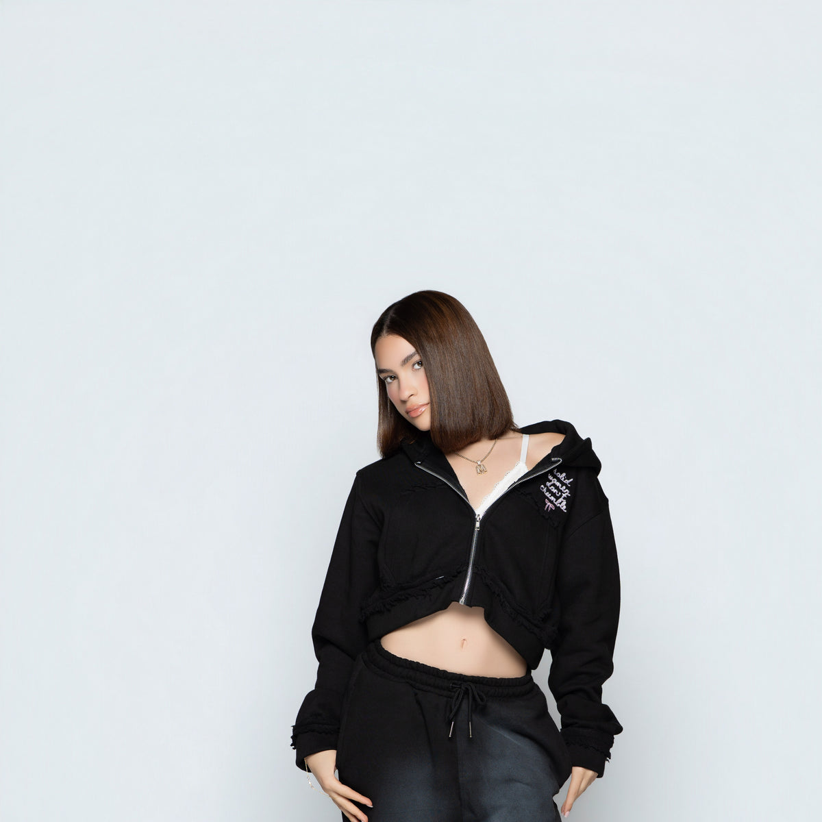 SWDC Cropped Hoodie